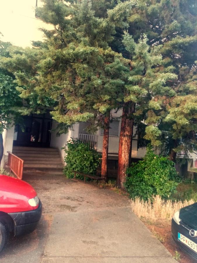 Nadia Apartment Ohrid With Lake View Екстер'єр фото